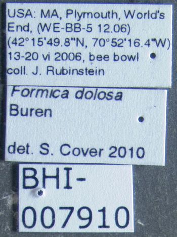 Media type: image;   Entomology 615221 Aspect: labels